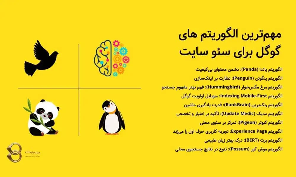 10 تا از مهمترین الگوریتم های گوگل برای سئو سایت